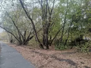 Фотография Центр развития ребенка-детский сад №284 5