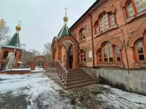 Фотография Божья коровка 1