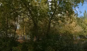 Фотография Адаптивная школа-детский сад №292 2