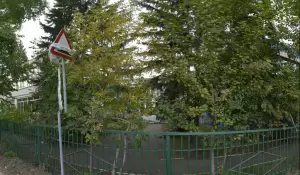 Фотография Детский сад №219 общеразвивающего вида 4