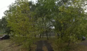 Фотография Детский сад № 264 2