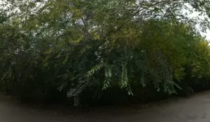 Фотография Детский сад №191 компенсирующего вида 2