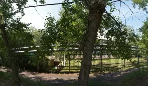 Фотография Детский сад №195 4