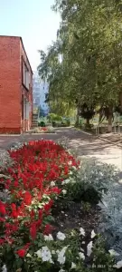 Фотография Детский Сад № 359 3